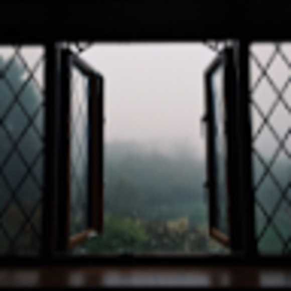 Meet your Posher, Ari - Picture 1 of 1